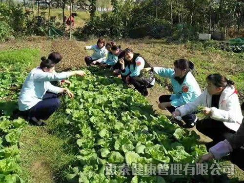 員工團(tuán)建活動(dòng)，自己摘菜做飯